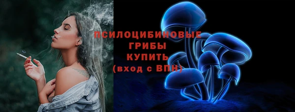 прущие грибы Алексеевка