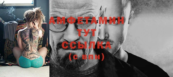 прущие грибы Алексеевка