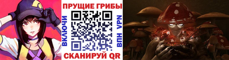 Купить  Злынка  Псилоцибиновые грибы ЛСД 