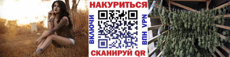 Купить закладки  Злынка  Марихуана Ganja 